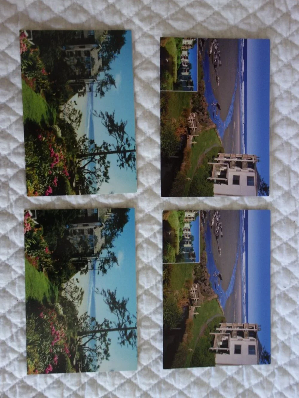 Lot of 14 unused Vntg Oregon Postcards